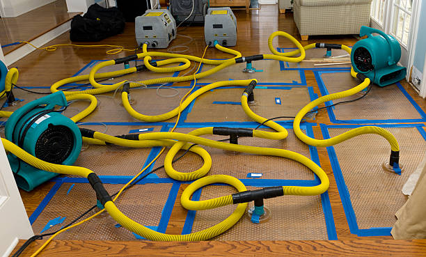 Professional Crawl Space Water Removal technician working in Oakham, MA